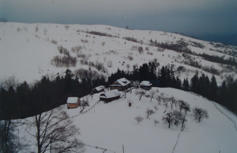 Wooden old mountain mountains