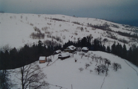 木製 年 山 美しい 写真