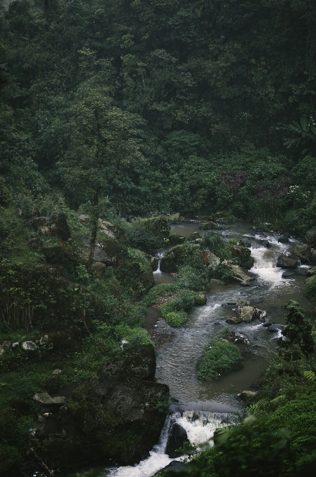 água cachoeira verde montanha