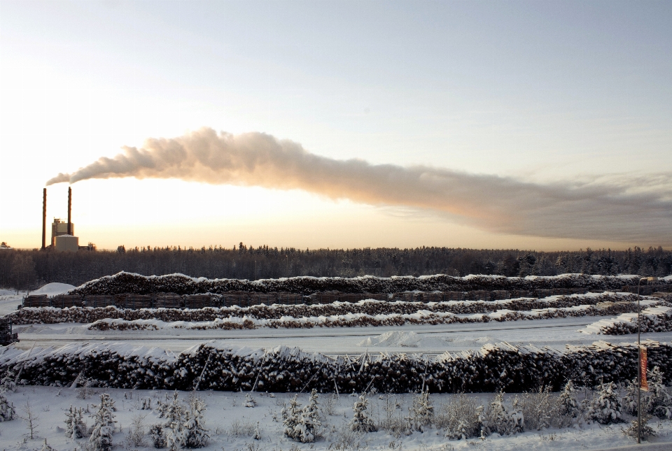 Rovaniemi
 inverno finlandia legna