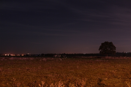 Foto Noite árvore terra estrela