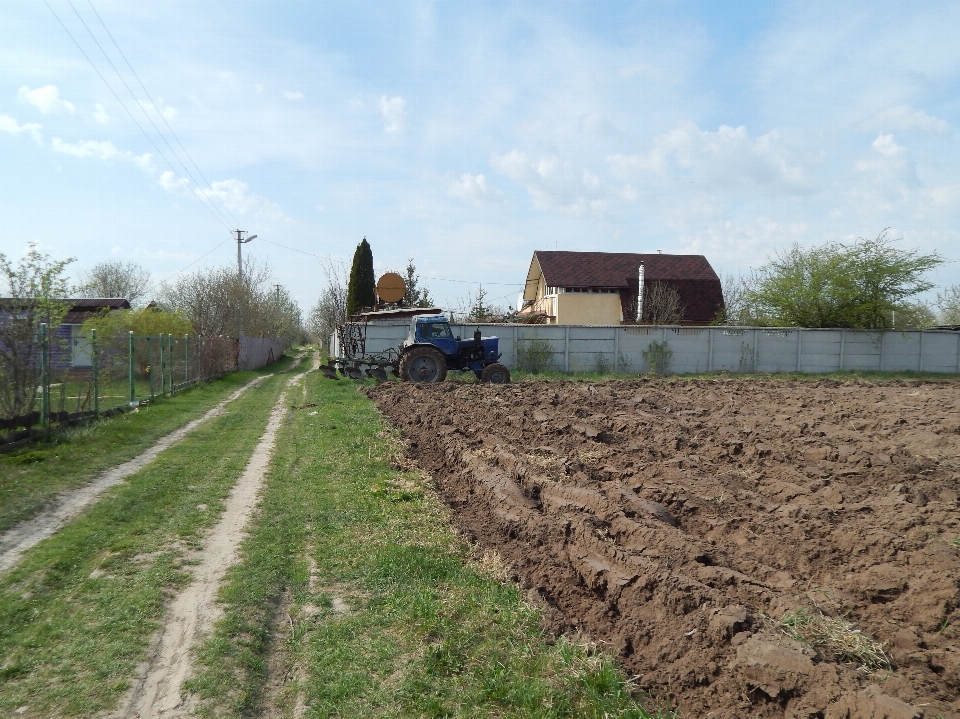 Campo arado
 suelo cultivos