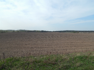 Field plowed soil crops Photo