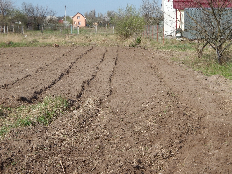 Campo arado
 solo plantações