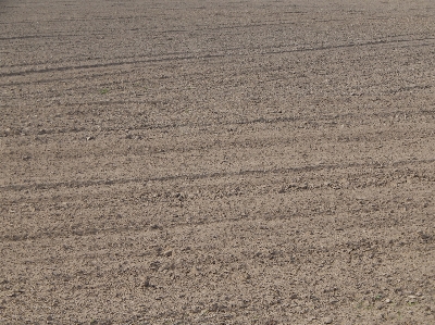 Field plowed soil crops Photo