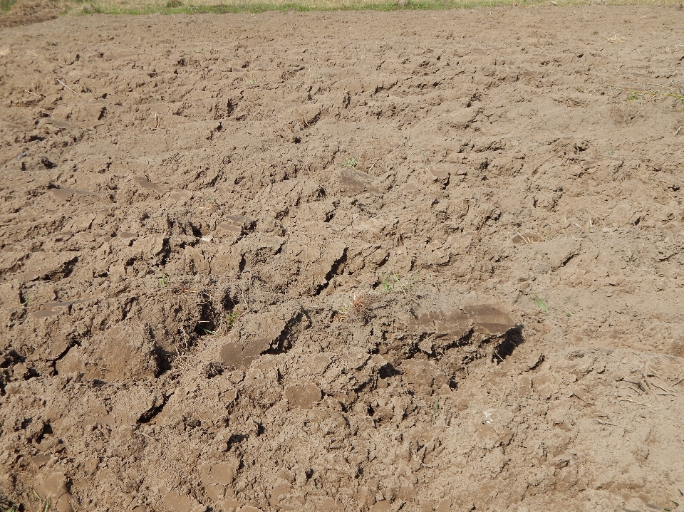 Campo arado
 suelo cultivos