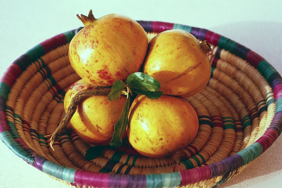 Fruits végétarien rafraîchissement nourriture