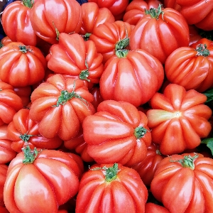 Nature natural foods vegetable tomato Photo