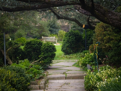 Foto Diam taman kursi hijau