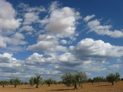 Nature sky cloud ecosystem Photo