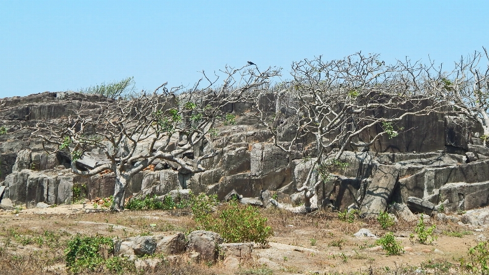 六角形の岩
 セントメアリーズ島
 遺跡 rock