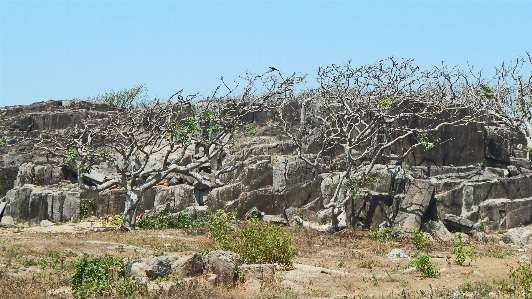 Foto Batu segi enam
 pulau st marys
 reruntuhan rock