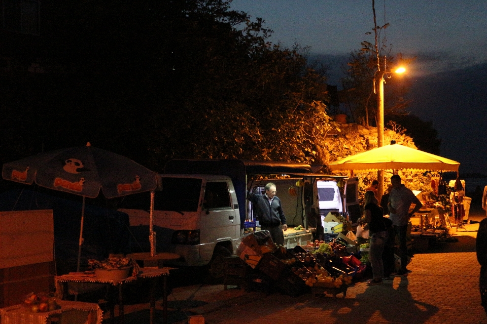 Nature night public space evening