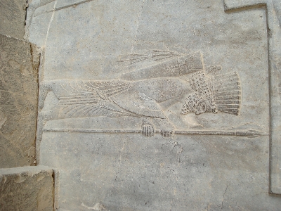 Foto Persia
 iran shiraz
 achaemenid
