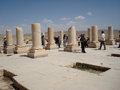 Foto Persia
 iran shiraz
 achaemenid
