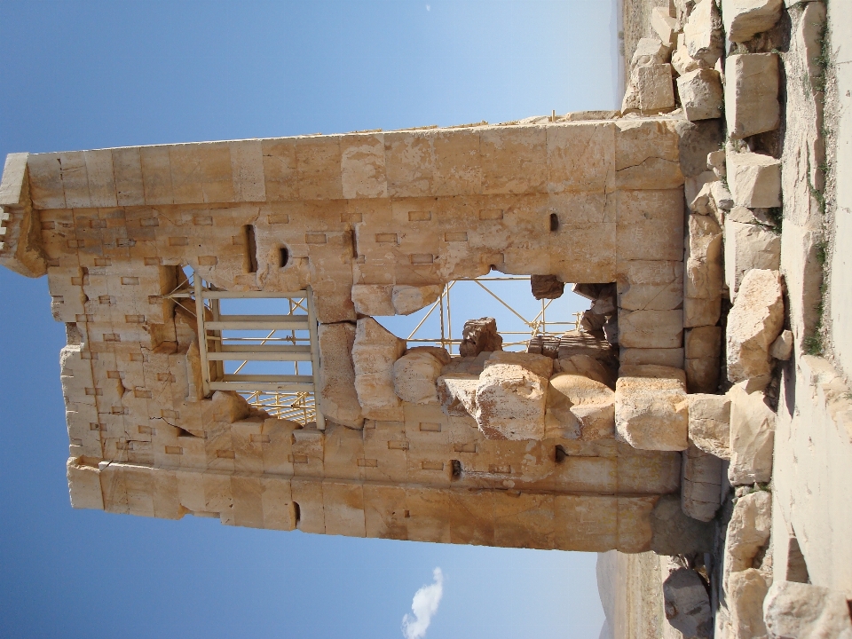 Persepolis
 İran
 iran Şiraz
