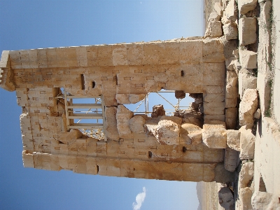 Foto Persepolis
 persia
 iran shiraz
