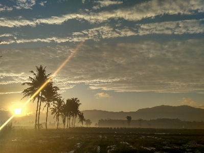 Morning sun mountain mist Photo