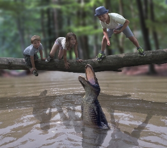 Children water crocodile tree Photo