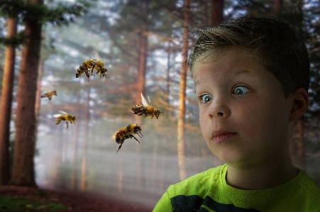 Boy bee sting fear Photo