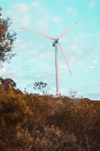 Windmill wind turbine farm sky Photo