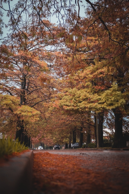 Invierno invierno
 otoño otono
