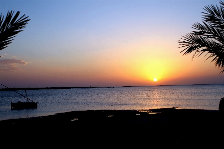 Beach sea coast water Photo