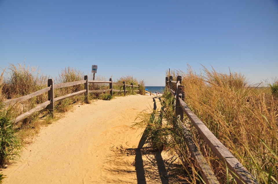 Sunset beach path sky sand