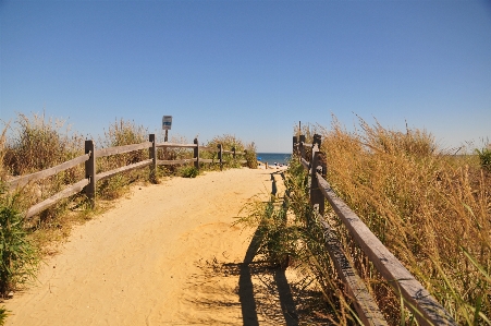 Sunset beach path sky sand Photo