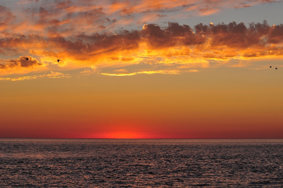 Sonnenuntergang am strand
 horizont himmel meer