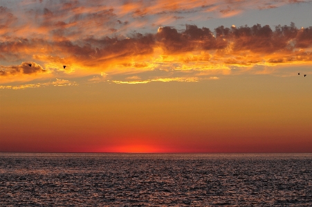 Sunset beach horizon sky sea Photo