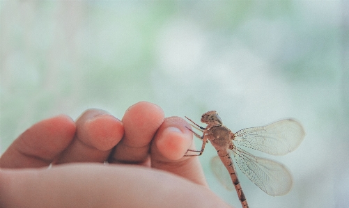 Love cute portrait beautiful Photo