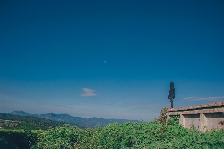 Foto Langit hijau pohon cakrawala