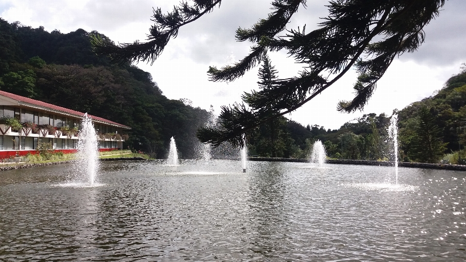 Fontes de água
 paisagem hotel natureza