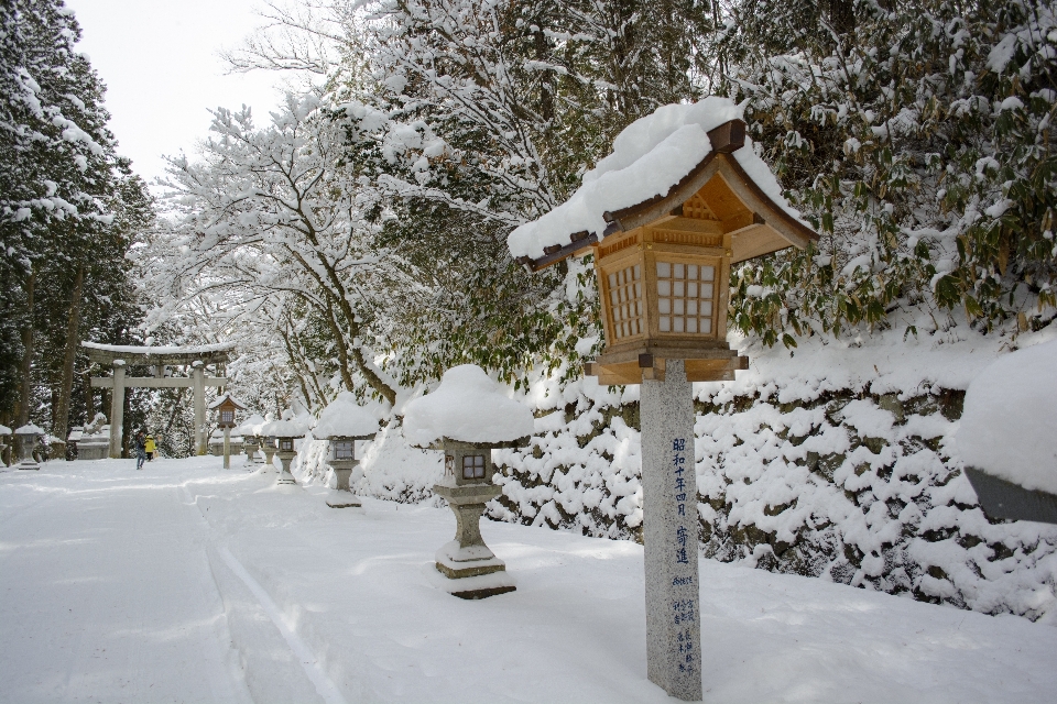 Snow japan shrine winter