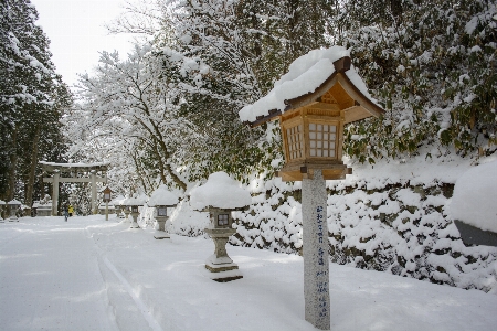 Snow japan shrine winter Photo