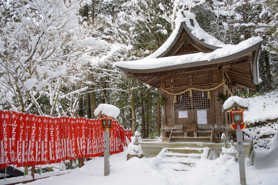 Snow japan shrine winter