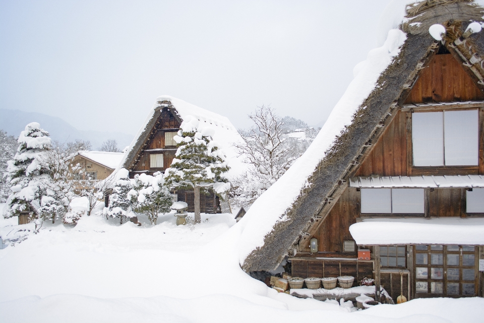 雪 日本 神社 冬