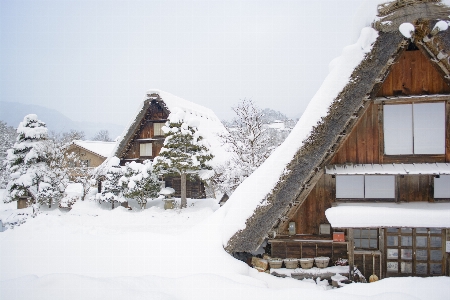 Snow japan shrine winter Photo