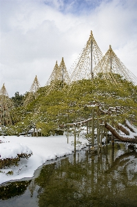 Snow japan shrine reflection Photo