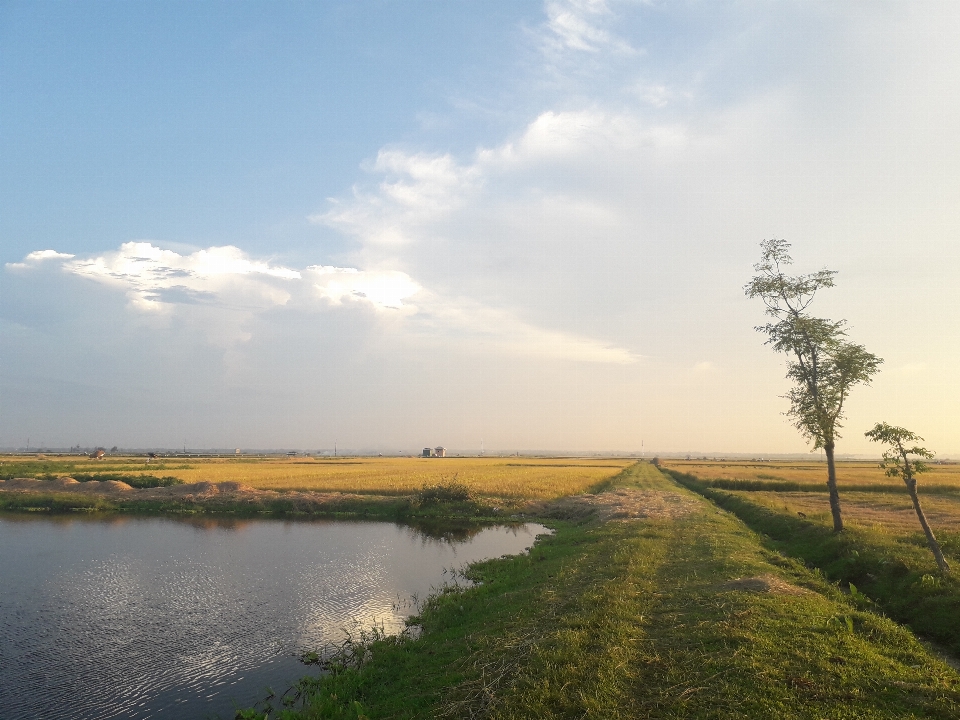 風景 空 水路
 地平線