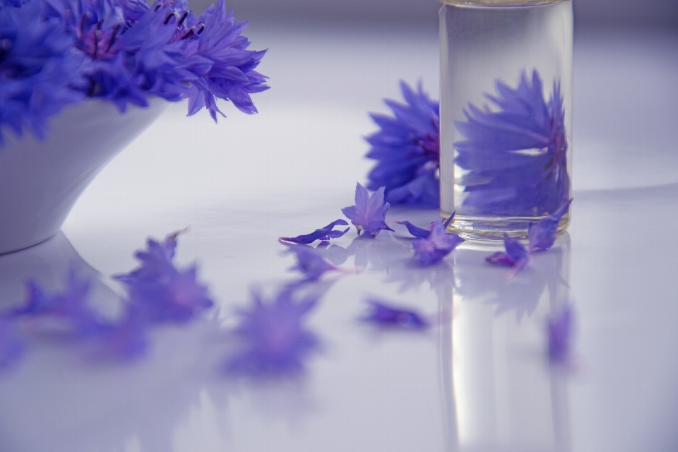 Aromatherapy cosmetic oil essential flowers