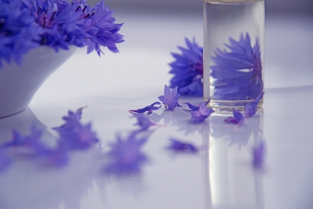 Aromatherapy cosmetic oil essential flowers Photo