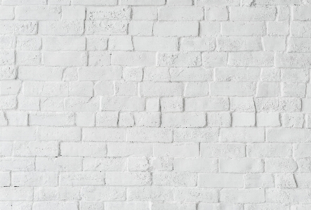 Background blank brick wall bricks Photo