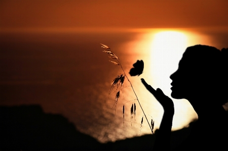 Woman butterfly romantic panoramic Photo