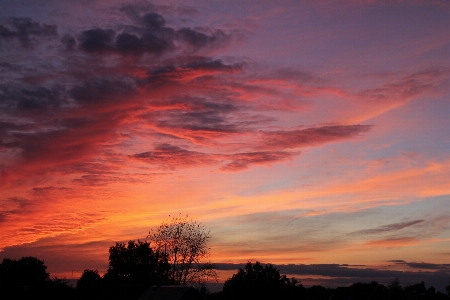 Sunset evening clouds nature Photo