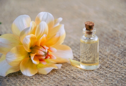 Aromatherapy cosmetic oil essential flower Photo