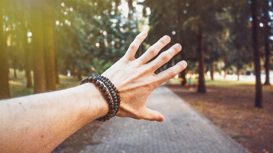 Bracelet hand trees forest Photo