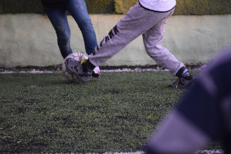 サッカー 写真 植物 紫 写真