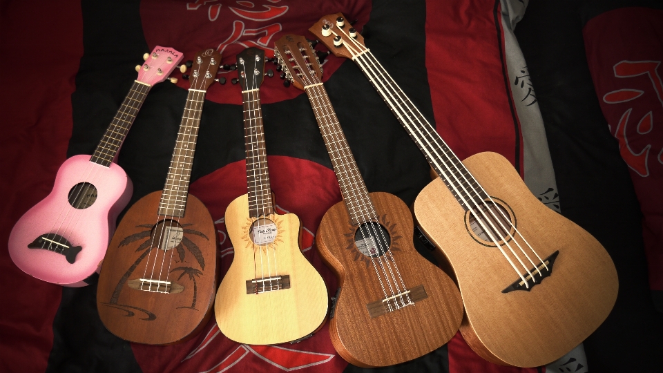 Ukulele soprano tenor alto